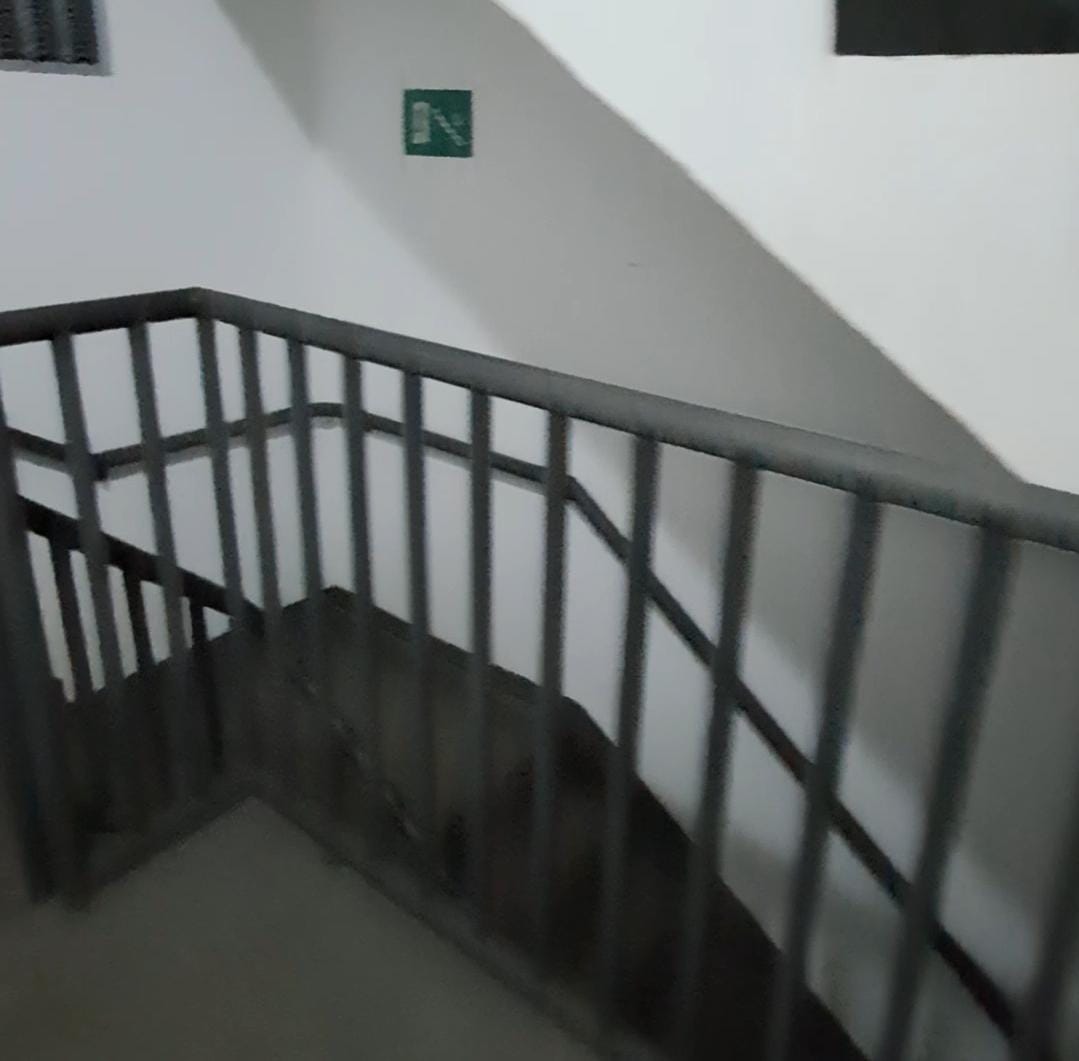 escadas, coscip